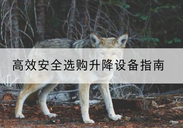 大方升降货梯厂家推荐-*安全选购升降设备指南