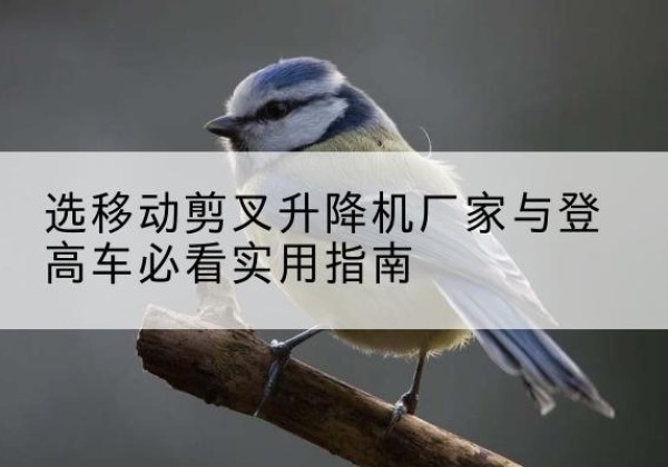 大方电动升降机厂家-选移动剪叉升降机厂家与登高车必看实用指南