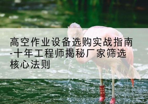 大方剪叉式升降机厂家-高空作业设备选购实战指南-十年工程师揭秘厂家筛选核心法则